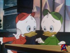   / DuckTales (2)