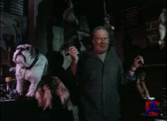    / Tales from the Crypt ( 1)