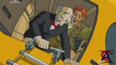    / Jackie Chan Adventures (3 )