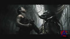  / Predators