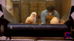   / Food, Inc.