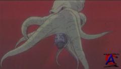 - / The Flying Ghost Ship