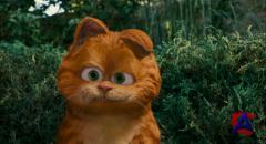  2:    / Garfield: A Tail of Two Kitties