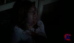     / Trailer Park of Terror