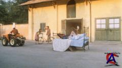  / Il bisbetico domato