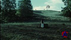  / Ring, The