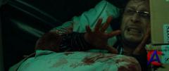 22 :  / Limmortel
