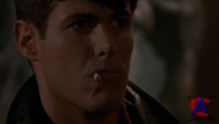    3:    / Hellraiser III: Hell on Earth