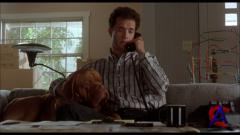    / Turner & Hooch