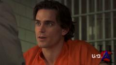   / White Collar (1 )