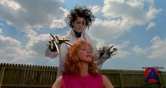  - / Edward Scissorhands