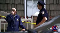   / White Collar (1 )