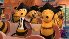  :   / Bee Movie