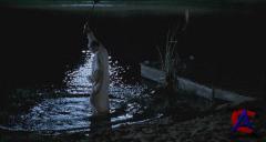   / Secondhand Lions
