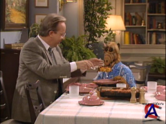 / ALF [3 ]