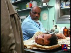   / Bride of Re-Animator