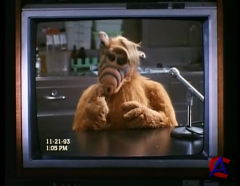 :  / Project: ALF