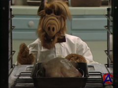  / ALF [2 ]