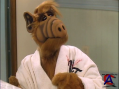  / ALF [3 ]