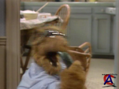  / ALF [4 ]