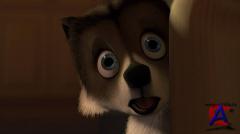   / Over the Hedge