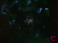   / Bride of Re-Animator