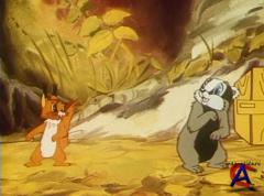 - 2.    (1948-1981)