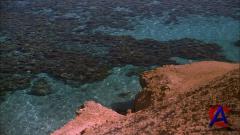 IMAX -   / IMAX - Ocean origins