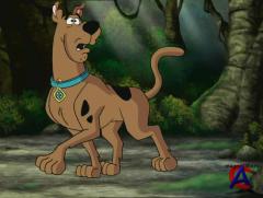 , -! / Chill Out, Scooby-Doo!