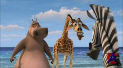  / Madagascar [HD]