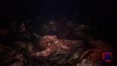 IMAX -   / IMAX - Ocean origins