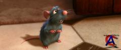  / Ratatouille [HD]