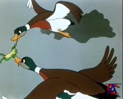 - 1.    (1946-1981)