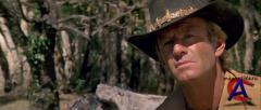   / Crocodile Dundee