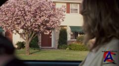     / Private Lives of Pippa Lee, The