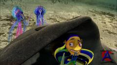   / Shark Tale
