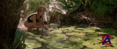   / Crocodile Dundee