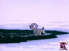 - 2.    (1948-1981)