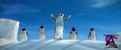  / Happy Feet