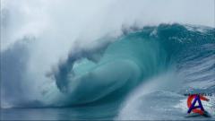 BBC:   / BBC: Deep Blue