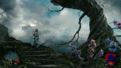     / Alice in Wonderland