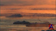 BBC:    /    / Natures Great Events (1 )