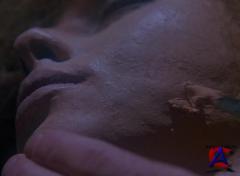    / Waxwork