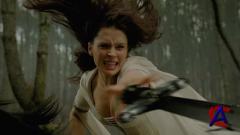    / Legend of the Seeker (1 )