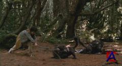    / Bridge to Terabithia
