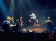 Amatory - Live Evil