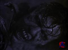    / Waxwork