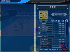 International Volleyball 2010