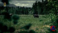 NG -   / National Geographic - Evolutions