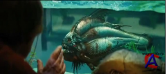  3D / Piranha 3D ()